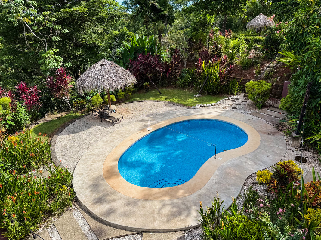 Aerial view of jungle villas near the beach