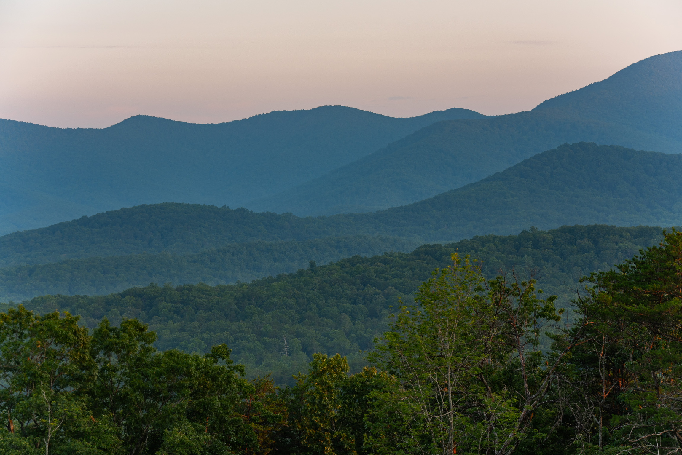 Montaluce Winery & Restaurant