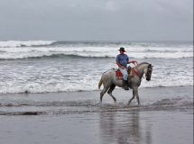 Hourseback Beach Ride Esterilllos